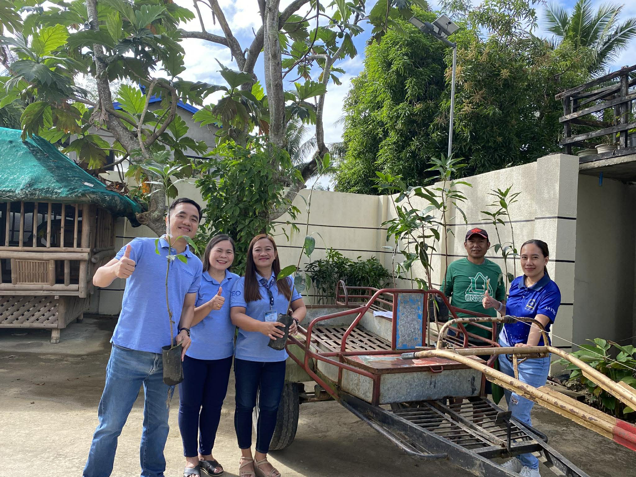 3rd Batch Distribution of Mango Seedlings 🥭🌱