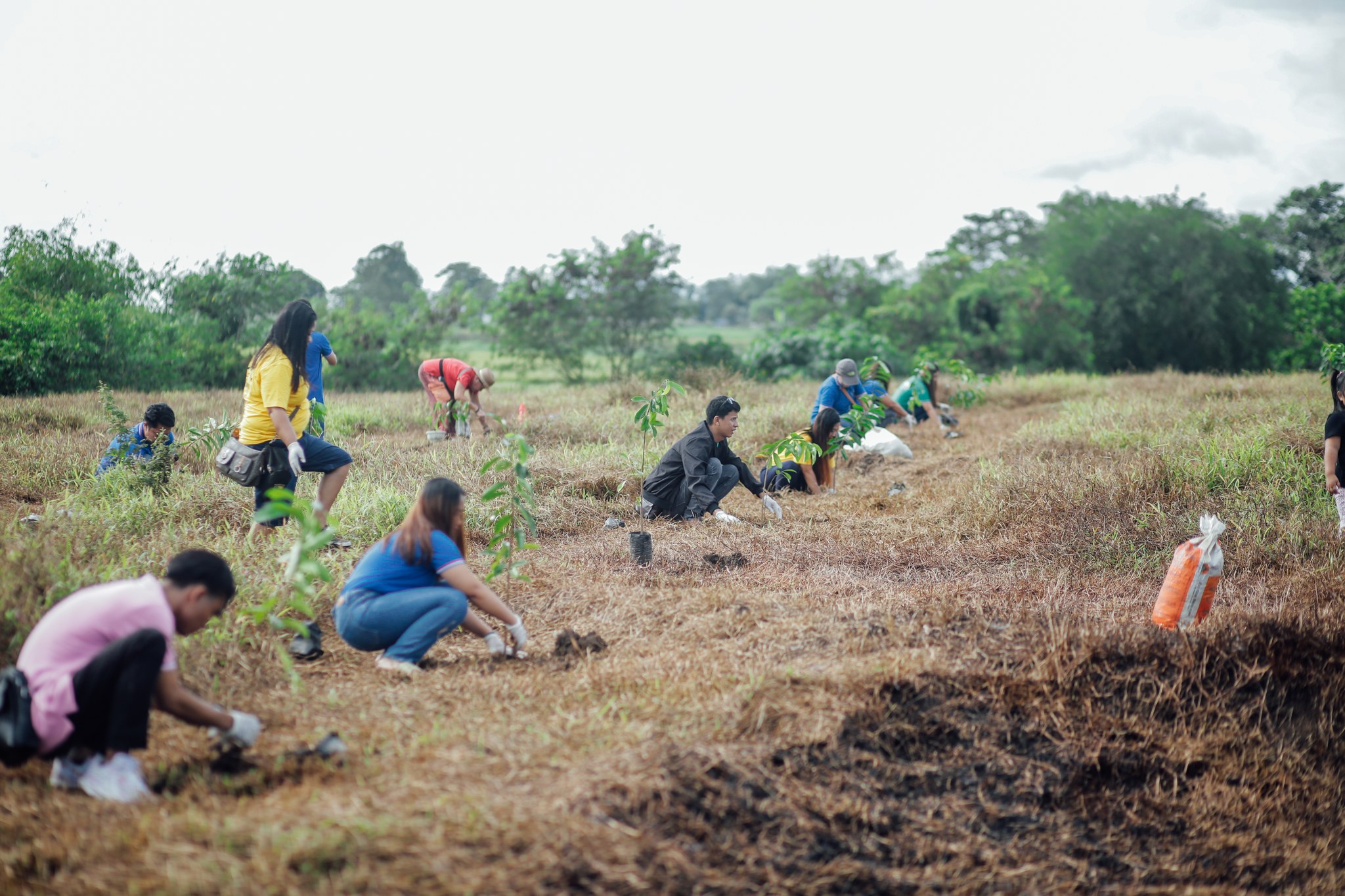 30th Anniversary & Cooperative Month Kick-Off – Tree Planting Activity